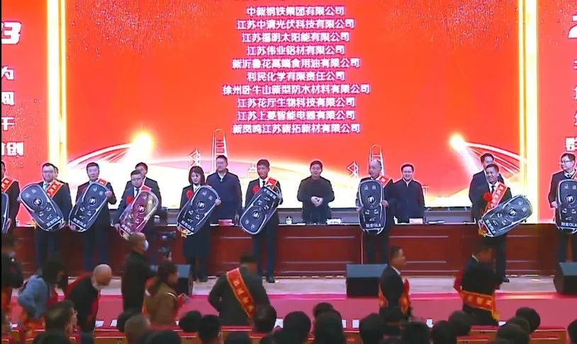 江苏zoty中欧体育喜获新沂经开区“凸起贡献”“金牌项目”双项荣誉