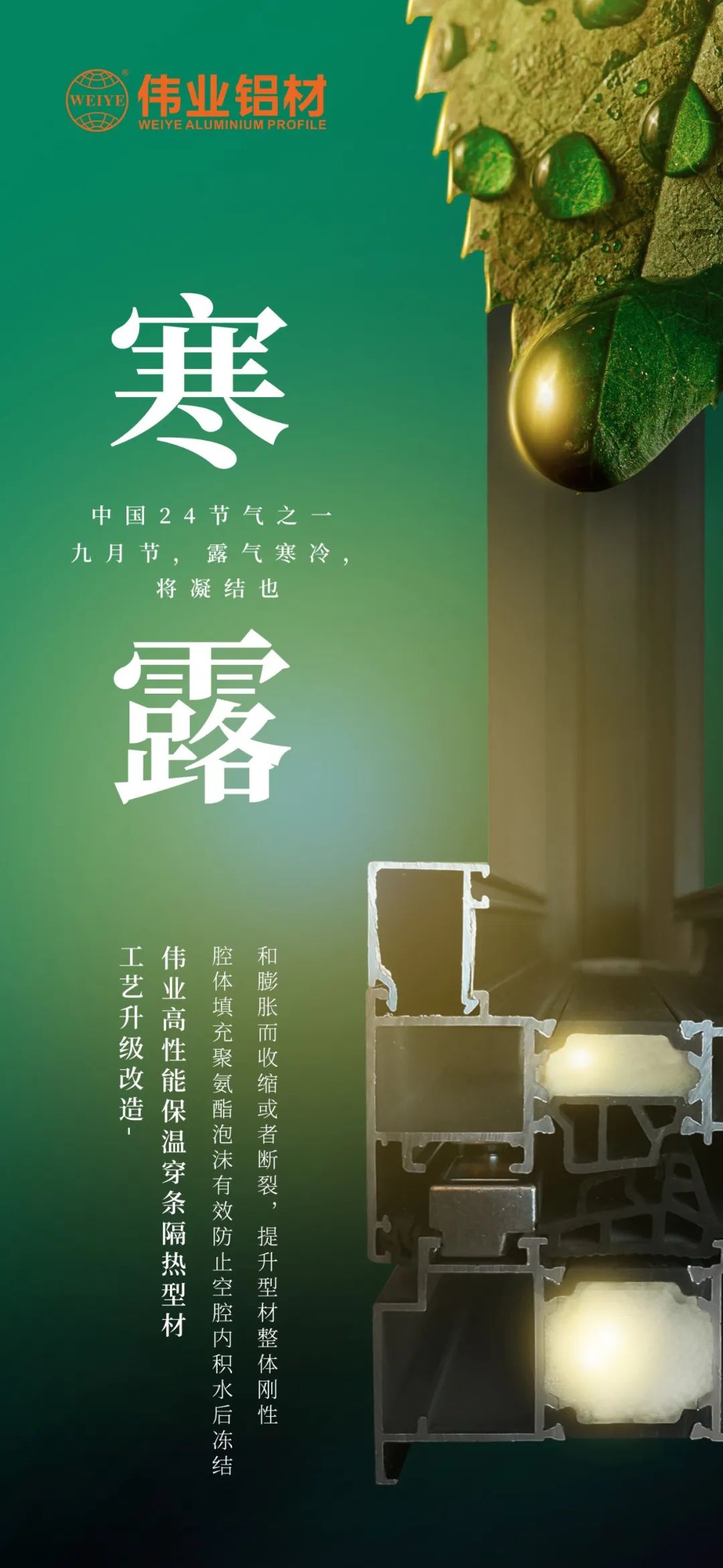 #寒露 九月节，露气寒冷，将凝固也 时光入深秋，岁月便深情